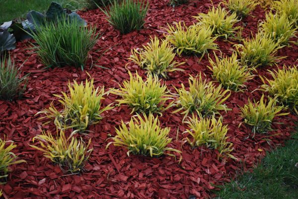 Red Mulch Installation in Wilmington