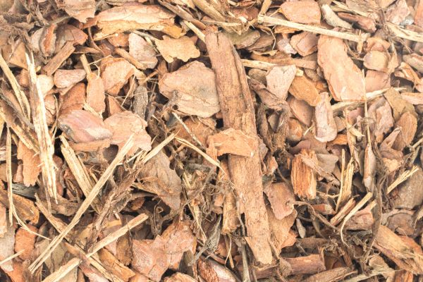 Bark Mulch Installation in Wilmington