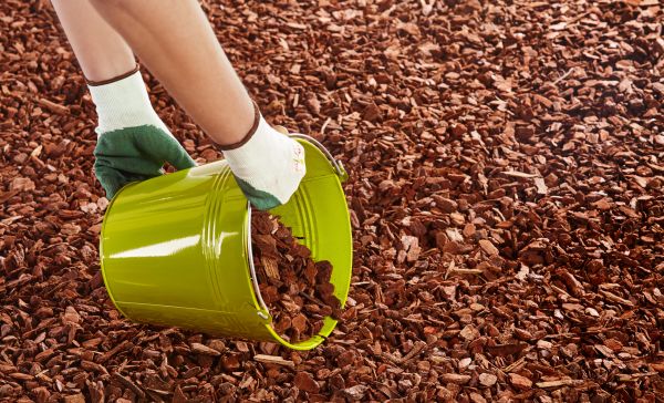 Wood Chip Landscaping in Wilmington