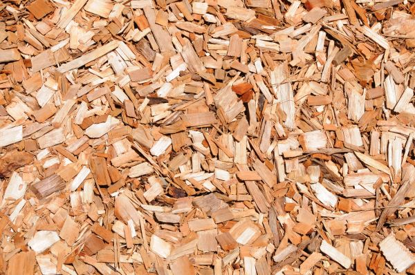 Cypress Mulch Spreading in Wilmington