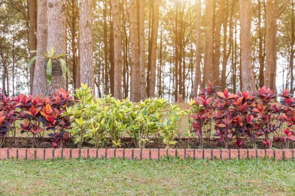 Small Garden Landscaping in Wilmington