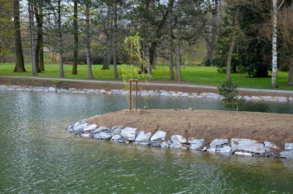 Pond Landscaping Service in Wilmington