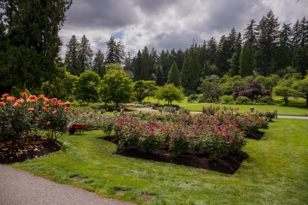 Flower Garden Landscaping in Wilmington