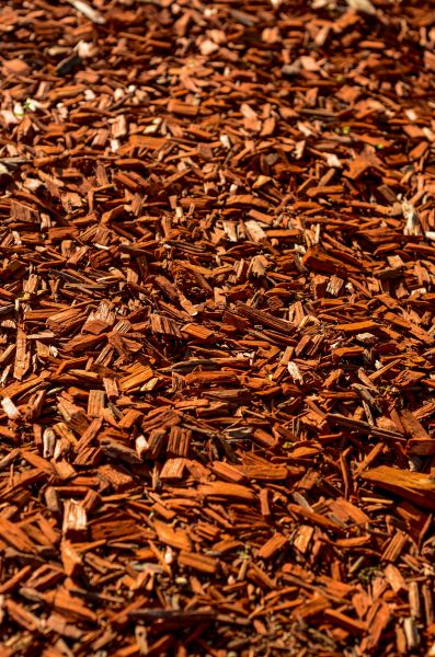 Cedar Mulch Spreading in Wilmington