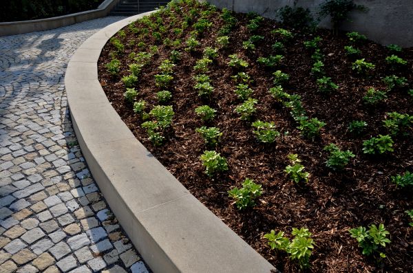 Commercial Mulching in Wilmington