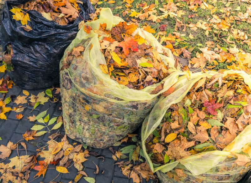 Disposal of Collected Leaves