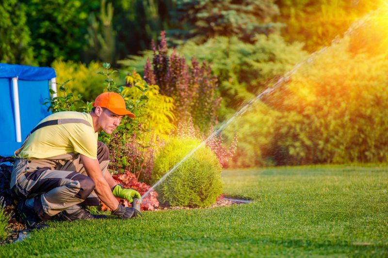 Lawn Repair Service detail