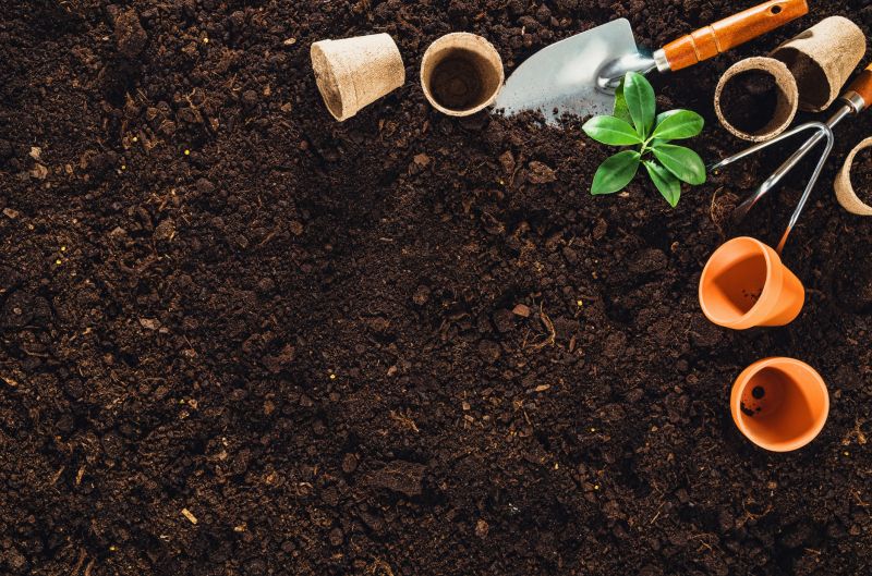 Garden Planting Service