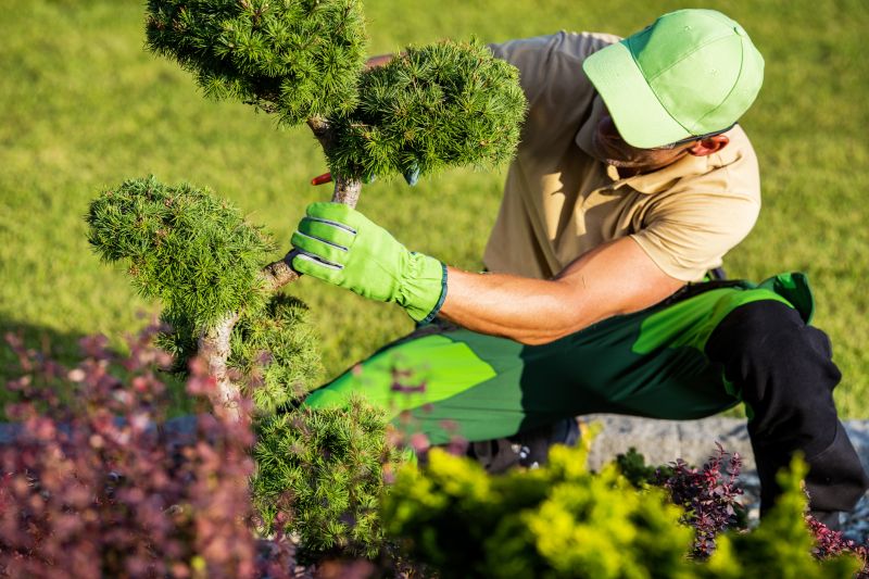 Garden Trimming Service