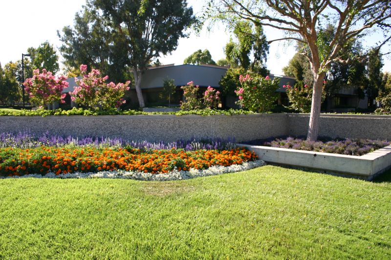 Colorful Flower Beds