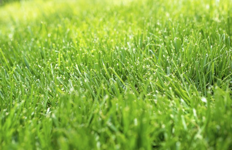 Lawn Erosion Control