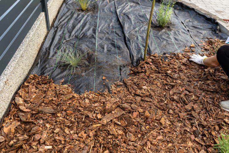 Pine Mulch Installation